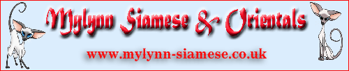 Mylynn Siamese & Oriental Cats